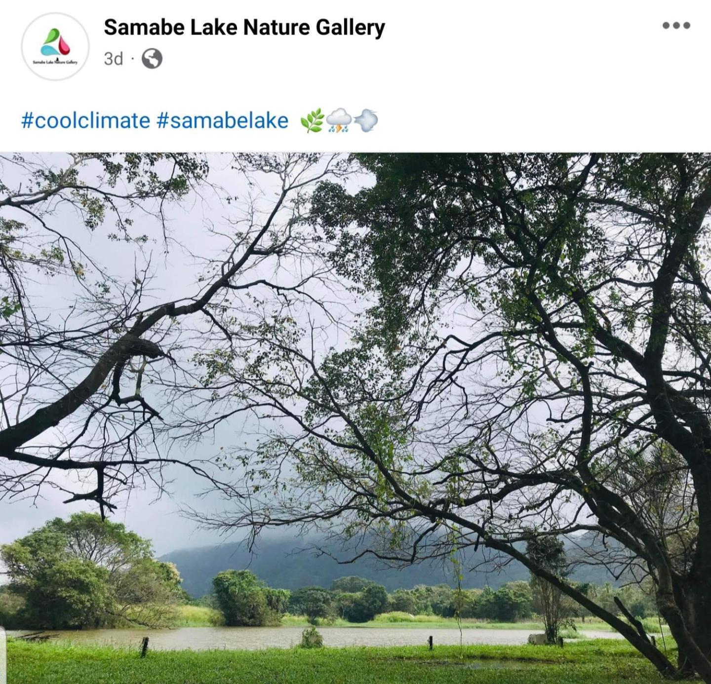 Samabe Lake Dambulla Eksteriør bilde