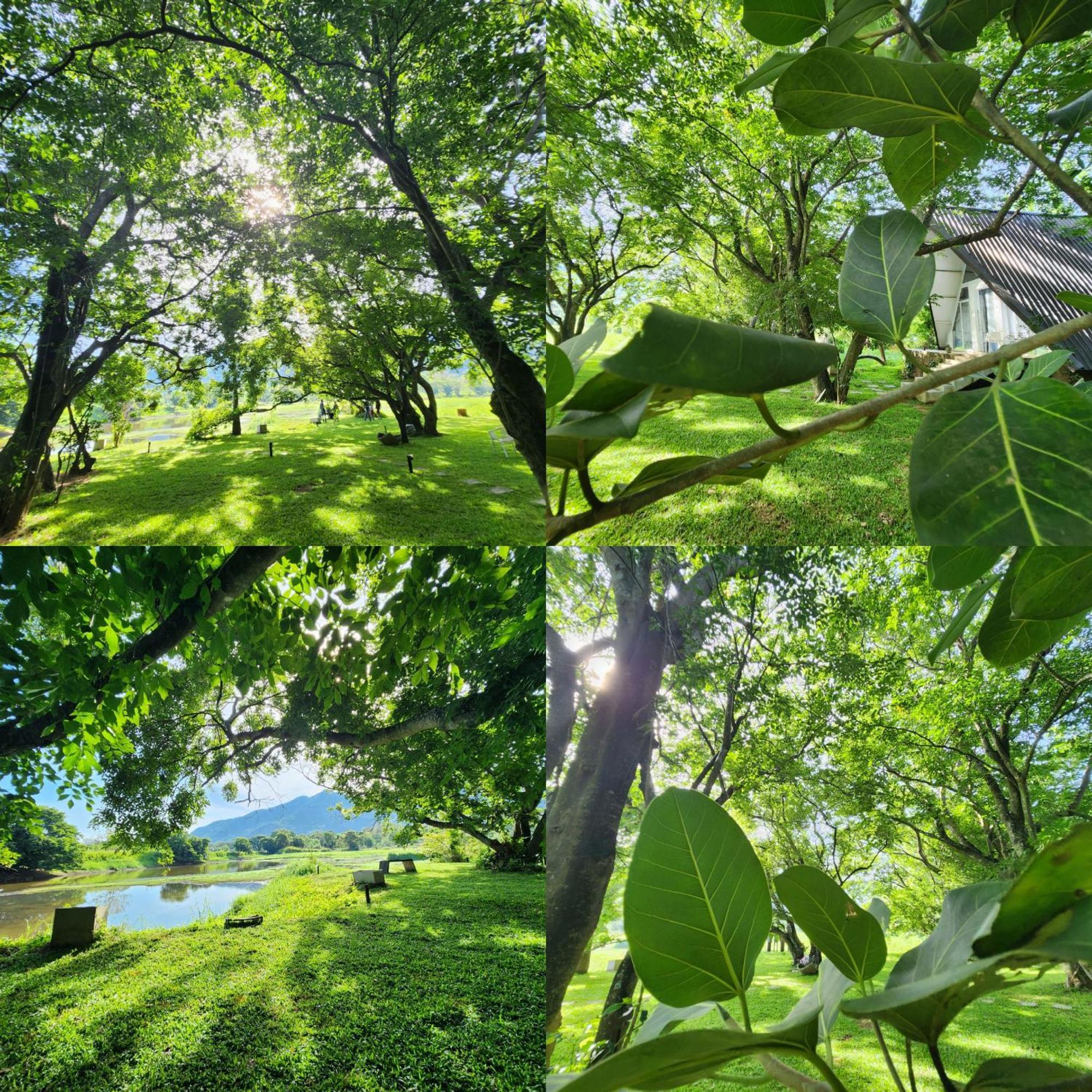 Samabe Lake Dambulla Eksteriør bilde
